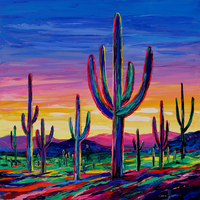 Sunrise on the Saguaros