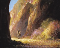 Canyon Floor