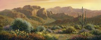 Desert Morning