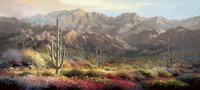 Reavis Ranch