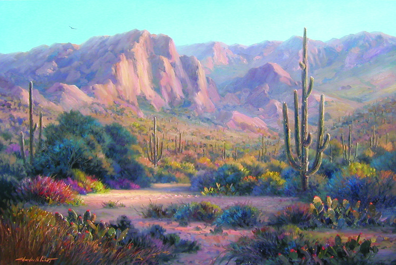 Desert Wilderness