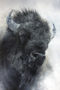Dusting Off by Doyle Hostetler
