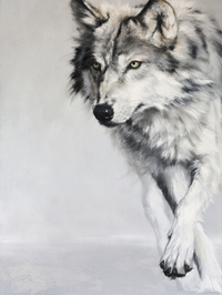 The Scout by Doyle Hostetler