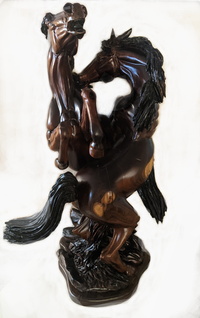 Stallions Fury by J Chester Armstrong