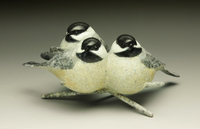 Wild Chicks by Jeremy Bradshaw