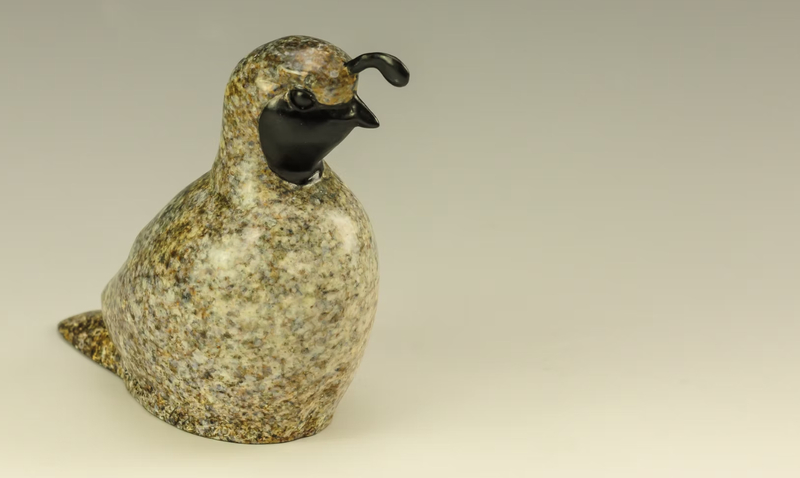 Male Valley Quail