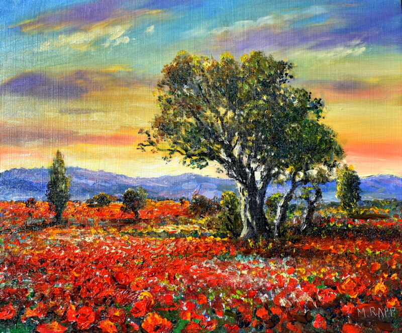 Red Poppies