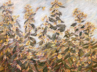 Backyard Blooms by Marlena Campbell