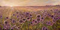 Sunflower Sundown by Marlena Campbell