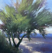 Arizona Lookout by Matthew Sievers