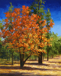 Autumn Radiance by Michael Pabst