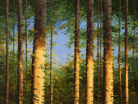 Forest Interlude by Michael Pabst