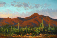 McDowell Twilight by Michael Pabst