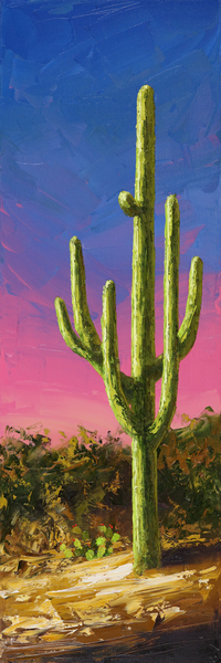 Saguaro Twilight by Michael Pabst