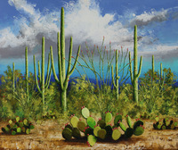 Sonoran Light by Michael Pabst