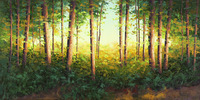 Verdant Light by Michael Pabst