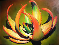 Somewhere in the Rainbow by Nance Franklin