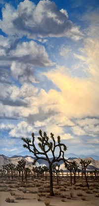 Dreamy Desert Sky by Naomi Brown