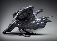 Angry Bird by Raymond Gibby