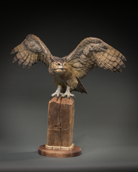 Night Vision by Raymond Gibby