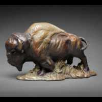 Tall Grass Bison by Raymond Gibby