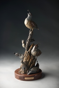 The View From the Top by Raymond Gibby