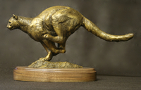 Up and Running by Raymond Gibby