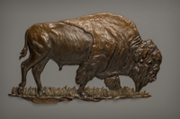 Where the Buffalo Roam by Raymond Gibby