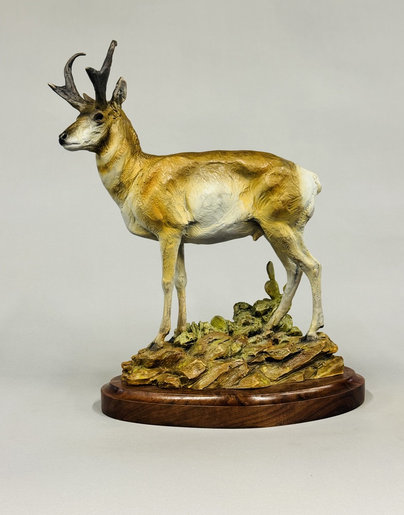 A Class of His Own by Raymond Gibby, view 2