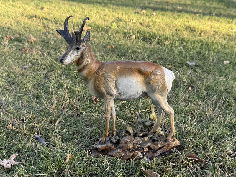 A Class of His Own by Raymond Gibby, view 4