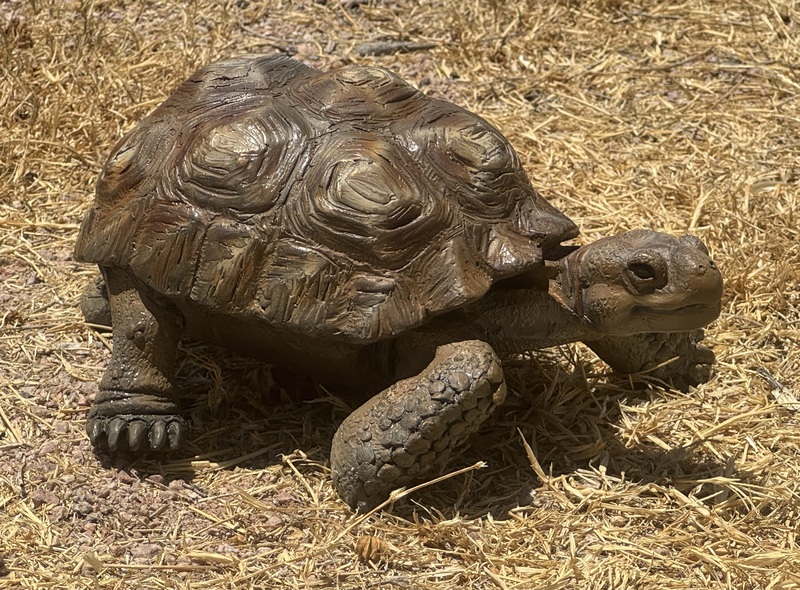 Slow and Steady by Raymond Gibby, view 2