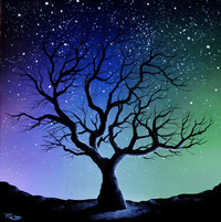 Bright Night by Reid Richardson