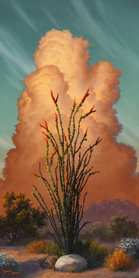 Ocotillo Serenade by Reid Richardson