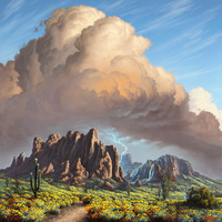 Superstition Wildflowers by Reid Richardson