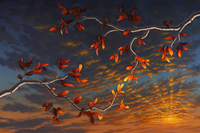 Vibrant Connection by Reid Richardson