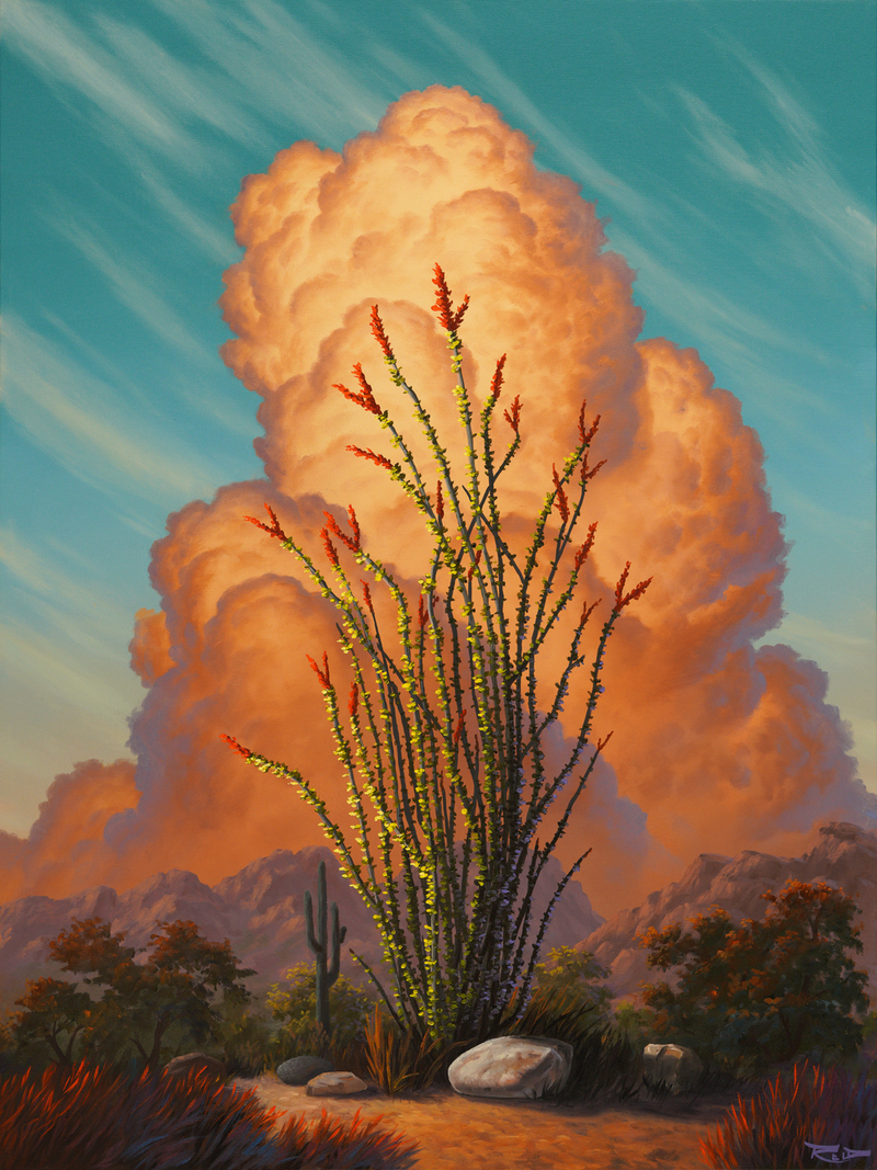 Ocotillo Harmony by Reid Richardson