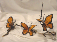 Autumn Monarch by Ron & Sheila Ruiz