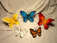 Butterfly Collection-Colors by Ron & Sheila Ruiz