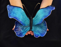 Contessa Blue Skies by Ron & Sheila Ruiz