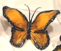 Dutchess Monarch by Ron & Sheila Ruiz