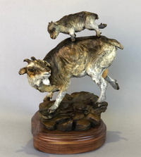 Balancing Act by Sally Fairfield
