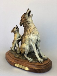 Singing Lessons by Sally Fairfield