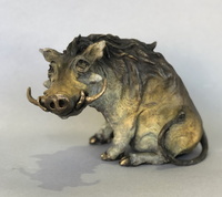 Wart's Up by Sally Fairfield