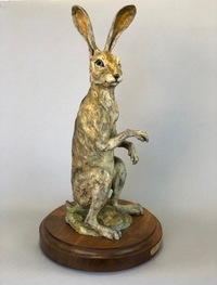 Who Goes There by Sally Fairfield