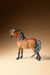 American Legend (Mustang) by Star Liana York