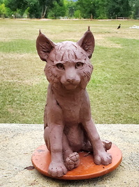 Bobkit by Star Liana York