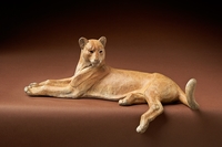 Cat Call Maquette by Star Liana York
