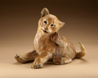 Catalina Cub by Star Liana York