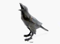 Chatter by Star Liana York