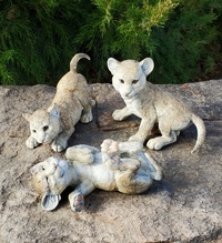 Cougar Cubs by Star Liana York